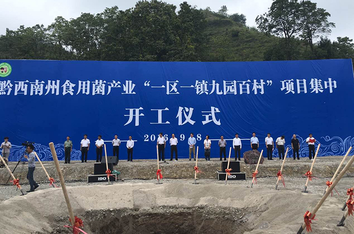 專(zhuān)題報(bào)道