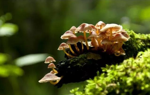 圖片關(guān)鍵詞 圖片關(guān)鍵詞