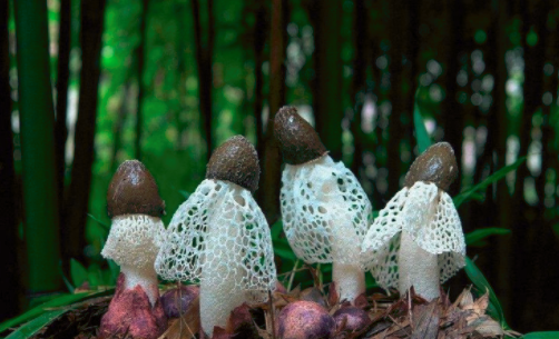 圖片關(guān)鍵詞 http://www.cookecustomcabinetry.com/ewebeditor/uploadfile/20180828110329835001.png