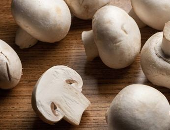 圖片關(guān)鍵詞 圖片關(guān)鍵詞