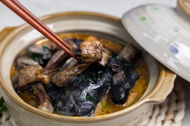 國家蘑菇地理：中國哪里的蘑菇最好吃？