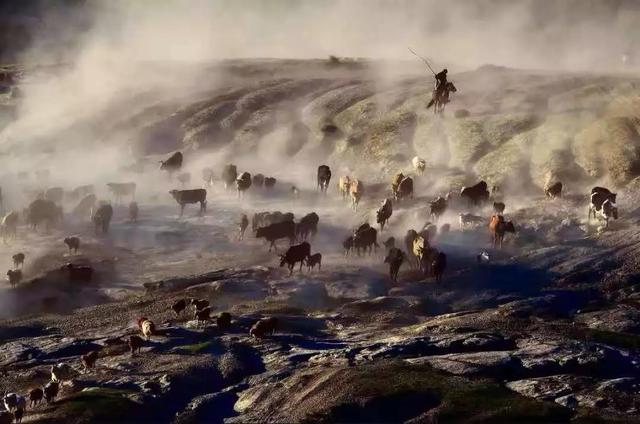 國家蘑菇地理：中國哪里的蘑菇最好吃？