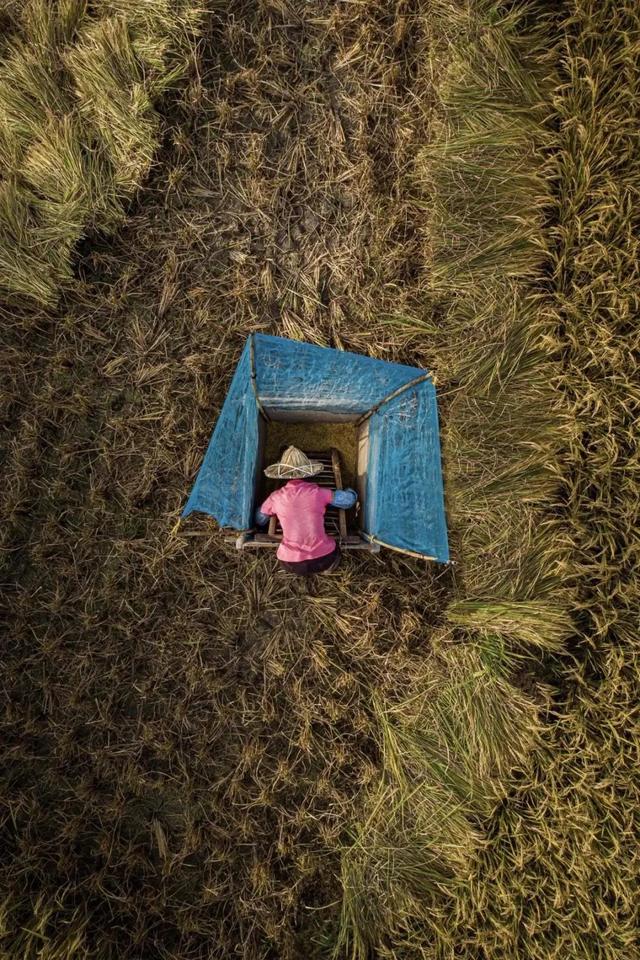 國家蘑菇地理：中國哪里的蘑菇最好吃？