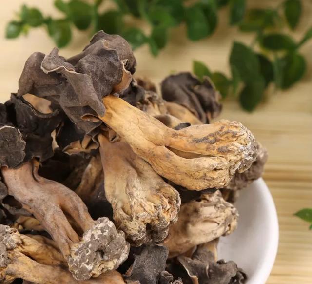 國家蘑菇地理：中國哪里的蘑菇最好吃？