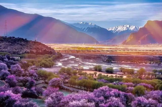 國家蘑菇地理：中國哪里的蘑菇最好吃？