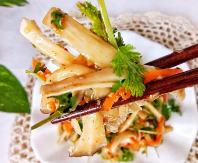 國家蘑菇地理：中國哪里的蘑菇最好吃？