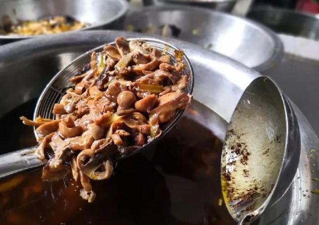 國家蘑菇地理：中國哪里的蘑菇最好吃？