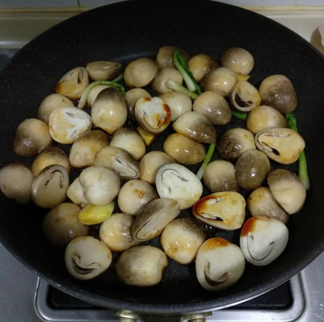 國家蘑菇地理：中國哪里的蘑菇最好吃？