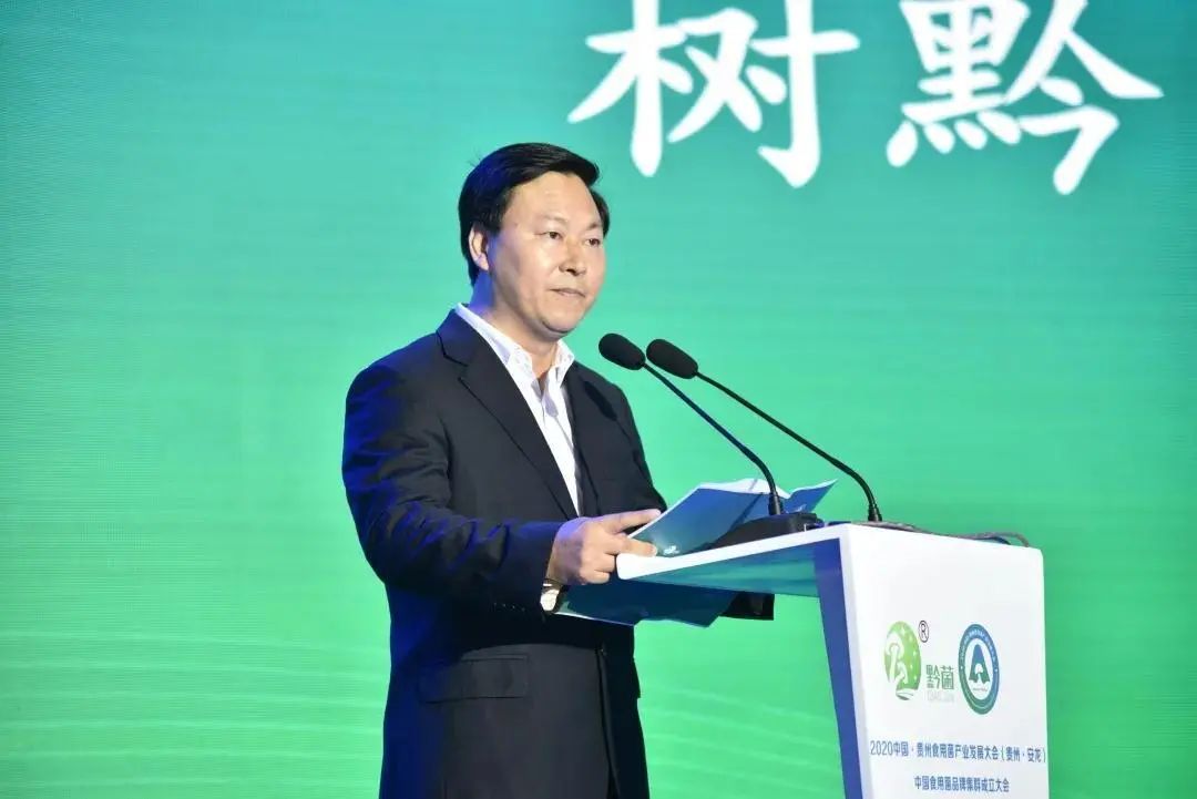 圖片關鍵詞 https://mmbiz.qpic.cn/mmbiz_jpg/tViaTicjwibVZmgEXXCALToc7mAB2rFo1LnVcNfxojtErN4HevnNspGAkxb2eGzqUl9R6NHDOVZ417IQEBLYFg1Bw/640?wx_fmt=jpeg