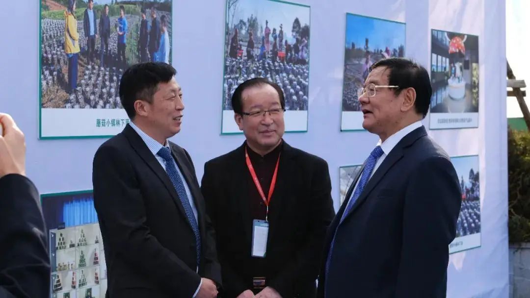 圖片關鍵詞 https://mmbiz.qpic.cn/mmbiz_jpg/tViaTicjwibVZmgEXXCALToc7mAB2rFo1LnpTRiccTvGKpC9akIktvLE1flOHNiaAXRK6DW4szbr640lo3vfSRaAxjw/640?wx_fmt=jpeg