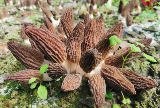 圖片關(guān)鍵詞 圖片