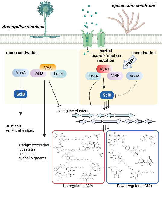 圖片關(guān)鍵詞 https://mmbiz.qpic.cn/mmbiz_png/OnRbAd1HL46T9TZ6n8lIsKS3fkw0eXia62oZjNgtjiamN3bnVXcMrC2aSVVwibzUccUG9FoXmcl0QDWQl5Pgy5RbA/640?wx_fmt=png