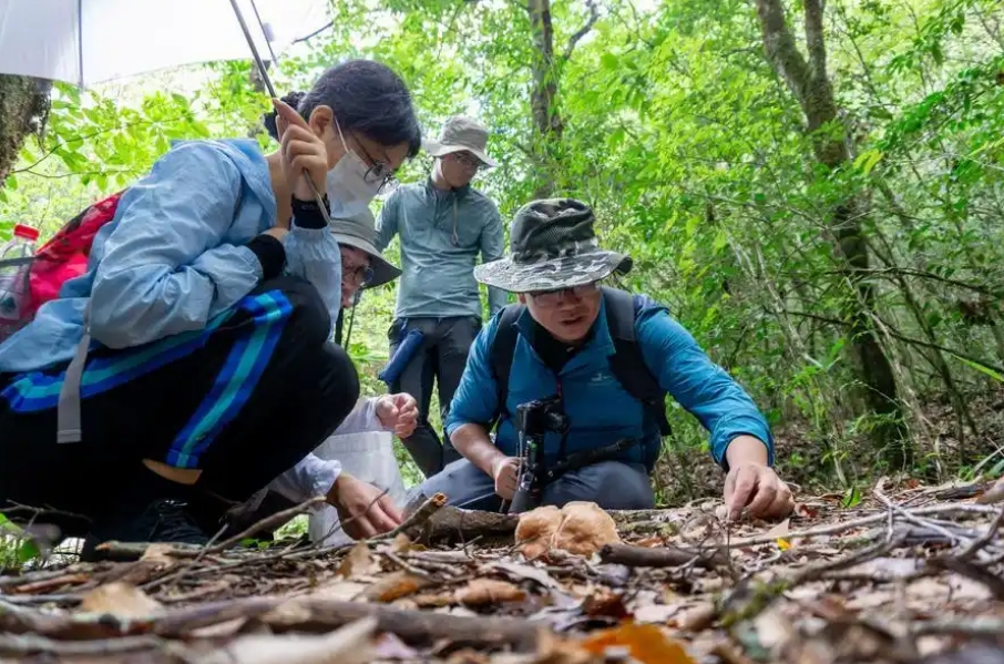圖片關鍵詞 圖片關鍵詞