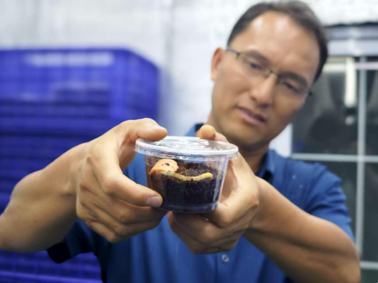 圖片關(guān)鍵詞