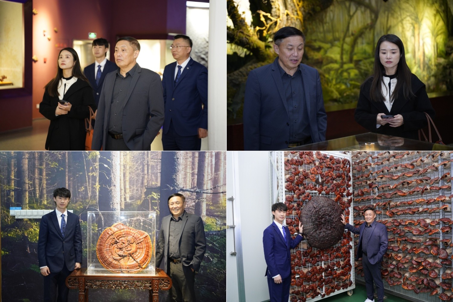 圖片關(guān)鍵詞