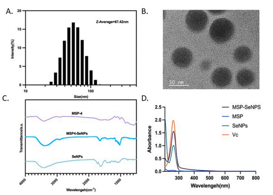 圖片關(guān)鍵詞 圖片關(guān)鍵詞