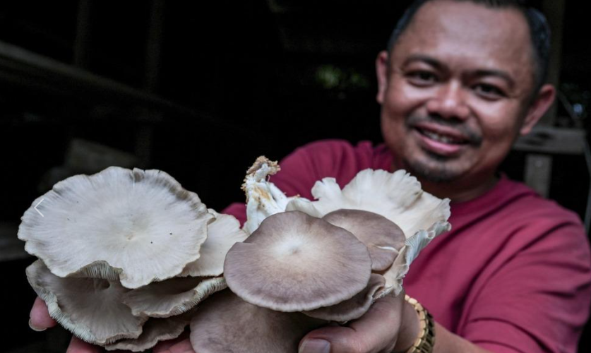 圖片關(guān)鍵詞 圖片關(guān)鍵詞