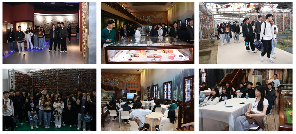 圖片關(guān)鍵詞 圖片關(guān)鍵詞