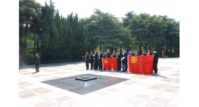 專題報(bào)道